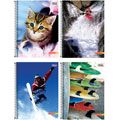Caderno Capa Dura Universitario Mais 10M 4X200 Folhas - Tili